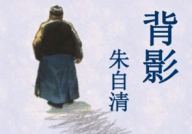 背影ppt,父子深情与时代变迁的交织