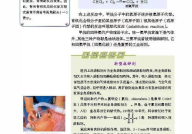 高中化学教材电子版,全面解析与便捷学习指南