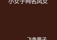 小女人网名,小女人昵称的魅力与创意”